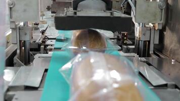 automatizado Comida embalagem linha, fechar-se do salsichas ser embalado em industrial maquinaria. video