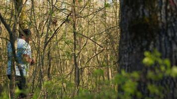 civile ricerca festa inizio il caccia all'uomo entro il foresta la zona, urlando il mancante persona nome e puntamento il suo passi. i soccorritori gruppo guardare per indizi, emergenza missione. telecamera un. video