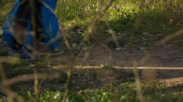 Diverse people working as activists to clean the forest from junk, fighting illegal dumping to protect the natural environment. Volunteers collecting rubbish, using tools to grab trash. Camera A. video