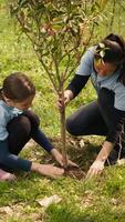 groupe de bénévoles plantation Nouveau semis autour le forêt zone, creusement en haut des trous et installation des arbres des graines pour la nature préservation et protection. mère et peu fille prendre action. caméra un. video