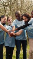 Joyful optimistic group of activists unites to clear out the woods, enjoying their voluntary efforts by locking hands. Satisfied people adopting devotion towards the environment. Camera A. video