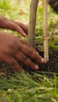 Volunteers filling up holes after planting trees around the forest, contributing to environmental protection and restore nature. Activists social team growing seeds in the woods habitat. Camera A. video