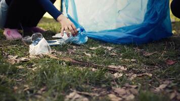 verschillend vrijwilligers verzamelen uitschot en opslaan in de vuilnis tas, plukken omhoog rommel en plastic verspilling naar helpen met Woud vervuiling. opruimen de bossen, ecosysteem bescherming. dichtbij omhoog. camera b. video