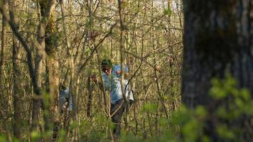 grupo do salva-vidas voluntários procurando para uma ausência de pessoa, chamando seus nome dentro a madeiras e indo através a árvores para rastrear passos. procurar pelotão socorristas olhando para uma perdido vítima. Câmera uma. video