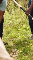 afrikansk amerikan aktivister plantering träd för natur bevarande, portion med hållbarhet och ekosystem bevarande. volontärer team sammanfogning händer för miljö- vård, växt frön. kamera a. video