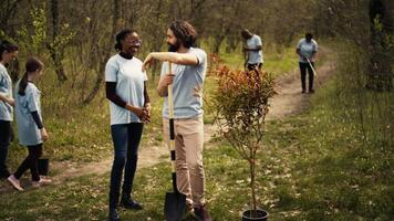 Portrait of diverse activists team tidying natural environment by working on reforestation and engaging in litter cleanup, recycle garbage. Volunteers protecting wildlife and ecosystems. Camera B. video