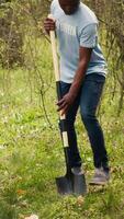 africano americano voluntarios equipo excavación agujeros y plantando arboles en un bosque, haciendo camada limpiar y poniendo plántulas en el suelo para naturaleza cultivo concepto. conservación proyecto. cámara una. video