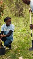 equipe do ativistas plantio árvores para conservar natural ecossistema e floresta ambiente, escavação buracos depois de colecionar bobagem. voluntários levando açao e preservando a madeiras habitat. Câmera uma. video