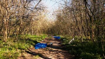 antenn se av tömma skog område överfyllda med plast och sopor, orsakar förstörelse till de naturlig värld från olaglig dumpning. landskap av en skog med spår för vandring fylld med skräp. video