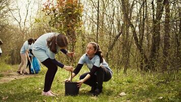 madre y hija equipo arriba a planta nuevo arboles en el bosque, proteger el natural habitat y ecosistema. familia de activistas luchando naturaleza conservación, excavación agujeros para plántulas cámara b. video