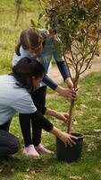 clima activistas plantando nuevo arboles en un bosque ecosistema, excavación agujeros y poniendo plántulas en el suelo. voluntarios trabajando en conservación naturaleza y proteger el ambiente. cámara una. video