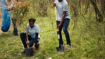 africano americano voluntarios equipo excavación agujeros y plantando arboles en un bosque, haciendo camada limpiar y poniendo plántulas en el suelo para naturaleza cultivo concepto. conservación proyecto. cámara una. video