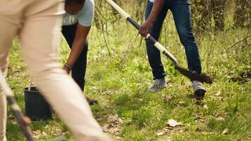 afrikansk amerikan aktivister plantering träd för natur bevarande, portion med hållbarhet och ekosystem bevarande. volontärer team sammanfogning händer för miljö- vård, växt frön. kamera a. video