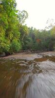 fpv av kvinna praxis yoga förbi de flod i tropisk regnskog, thailand video