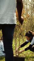 groep van vrijwilligers aanplant nieuw zaailingen in de omgeving van de Woud Oppervlakte, graven omhoog gaten en installeren bomen zaden voor natuur behoud en bescherming. moeder en weinig meisje nemen actie. camera b. video