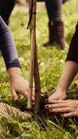 salvaguardar ecológico equilibrar y natural ambiente, madre y niño colaborar en plantando arboles en el bosque. activistas cavar agujeros para coles, apoyos sostenible estilo de vida. cámara b. video