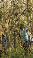 grupo de salvavidas voluntarios buscando para un desaparecido persona, vocación su nombre en el bosque y yendo mediante el arboles a pista pasos. buscar equipo rescatadores mirando para un perdido víctima. cámara una. video