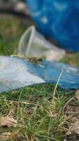 grupo de voluntarios limpieza el bosque desde camada y el plastico desperdiciar, agarrando basura y basura con un largo garra herramienta. ambiental activistas cosecha arriba basura. cerca arriba. cámara una. video