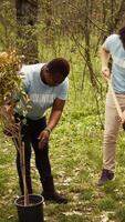 Diverse volunteers team digging holes to plant trees in the woods, working together in unity to protect the environment and preserve natural forest habitat. Activists conserve ecosystem. Camera B. video