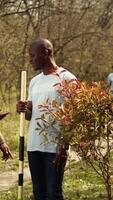 Portrait of african american couple fighting to preserve natural environment by planting trees, collecting rubbish and cultivating consciousness. Volunteers save the planet. Camera B. video