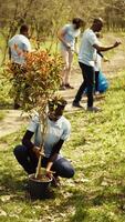 équipe de climat changement militants Faire volontaire travail à plante des arbres, protéger Naturel forêt habitat. plantation semis pour futur générations, donnant la vie et portion le Terre. caméra b. video