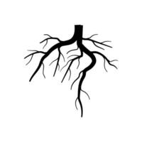 underground tree root cartoon illustration vector