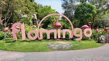 Vibrant flamingo sculpture and signage at a tropical park on a sunny day, perfect for wildlife and nature themed design projects or tourist attraction promotions video