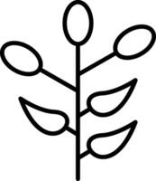 Barberry Line Icon vector