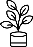 Ficus Line Icon vector