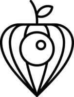 Physalis Line Icon vector