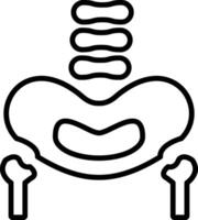 Pelvic Bone LineIcon vector