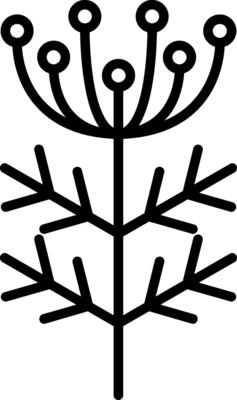 Dill Line Icon