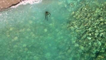 Aerial drone view of a person doing spearfishing on crystal blue water. Recreational fishing and summer activity. Summertime. video