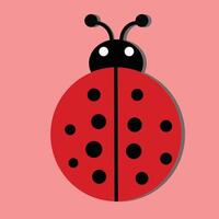 ladybird or Ladybug graphic illustration, Cute Simple Flat Design of Red and Black lady beetle. vector