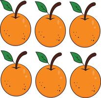 Orange Fruit With Green Leaf on The White Background. 6 Orange vector