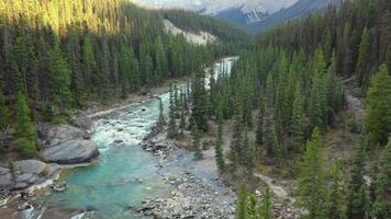 Aerial view of Mistaya Canyon, Rocky Mountains, Canada. video