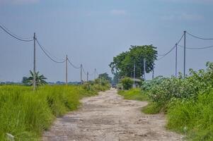 a broken and bumpy dirt highway with tall grass around it photo