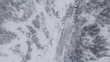 a aéreo Visão do uma Nevado floresta com árvores coberto dentro neve video