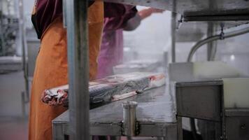 Blitz Einfrieren Prozess gefangen im Zeitlupe kritisch Schritt zum Fisch Erhaltung einer Tablett nach Ein weiterer Blitz Einfrieren sichert Fang Integrität. Blitz Einfrieren ausschlaggebend zum Fisch Industrie Normen. video