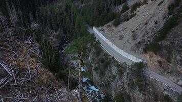 Aerial view unveils coniferous forest amidst mountain peaks coniferous forest perfect for serene rest nature's constancy. Coniferous forest captivates with pristine beauty quiet charm. video