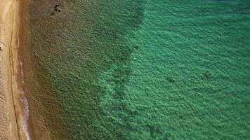 Vögel Auge Aussicht von ein sandig Strand und beschwingt Türkis Wasser video