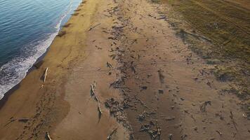 smutsig Strand antenn se smutsig Strand tecken miljö- försummelse. smutsig Strand uppmaning behöver för ekologisk skydd adressering ekologisk frågor bevara naturlig skönhet. video