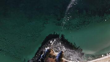 Top-down aerial view of the coastline, sea and floating ice floes video