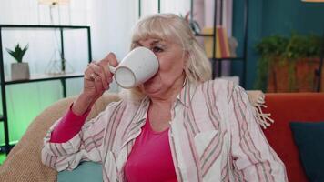 Senior stilvoll alt Oma Frau Sitzung auf Couch entspannend beim Zuhause Trinken genießen Tee oder Kaffee video