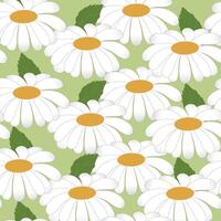 Cute daisies seamless pattern. Spring pattern. Minimalistic style. Wallpaper with flowers, textiles, wrapping paper. vector