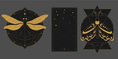 místico celestial conjunto un con dorado contorno insectos, polilla, libélula, estrellas, medias lunas y Luna etapas. negro oculto brillante lineal etiquetas con un mágico marco estilizado como grabado vector