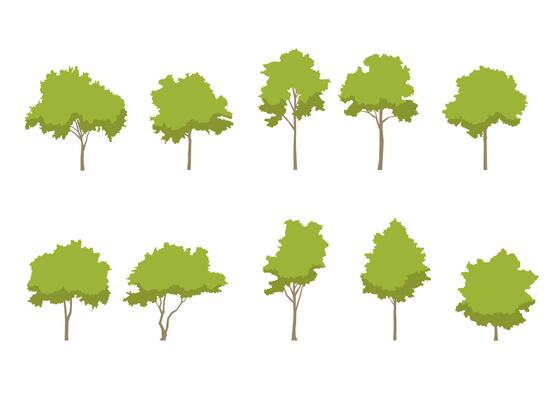 tree line drawing side view graphics trees elements single object outline minimal plant