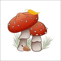 Amanita muscaria mushroom illustration. Wild forest mushroom fly agaric in autumn, isolated. Design element for theme forest mushrooms, menu, forest, ingredient, recipe, organic products, vector