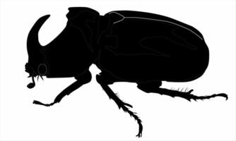 The horn beetle is black on a white background vector