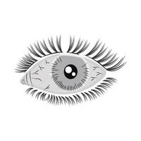 illustration of eye vector